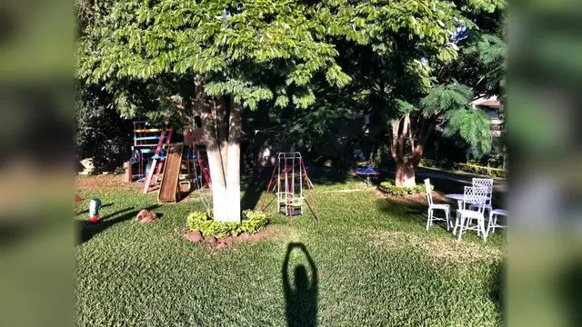 Parquinho no jardim de trás