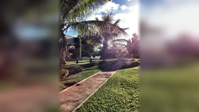 Pista de cooper no jardim de trás