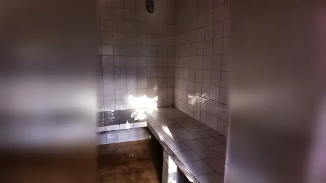 Sauna a vapor